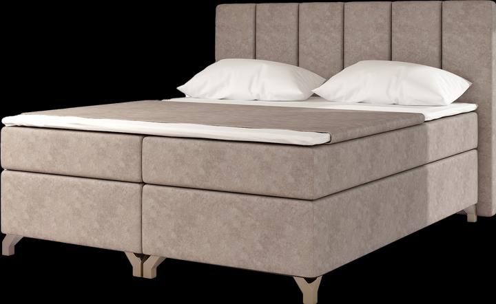 Beige Dora 22