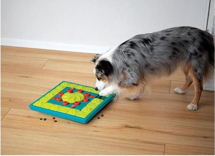 Actual product image Nina Ottosson Multipuzzle (Intelligence toy dog)