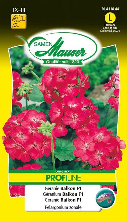 Produktbild Samen Mauser Geranium Balkon F1 (Blumensamen)