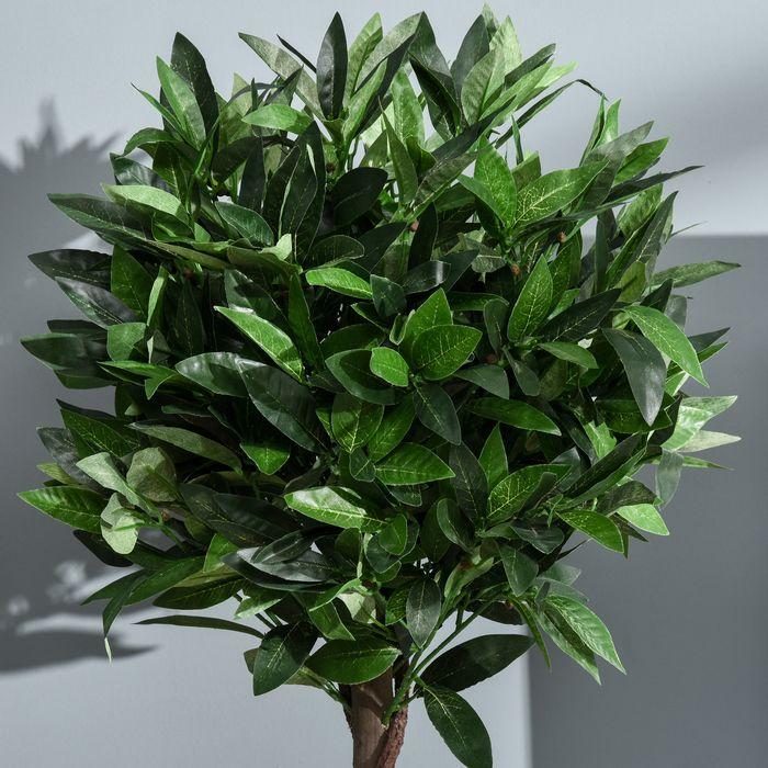 Image du produit Swisshandel24 2er-Set Künstlicher Lorbeerbaum 120cm Kunstpflanzen im Zementtopf, Zimmerpflanze (120 cm)