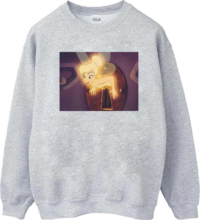 Disney Tinker Bell Lock Squeeze Sweatshirt (XXL)