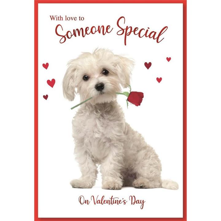 Immagine prodotto Simon Elvin Cucciolo San Valentino Biglietto d'Auguri Misura Confezione 6 (6 pz.)