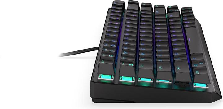 Actual product image Endorfy Thock (US, Cable, Wireless)
