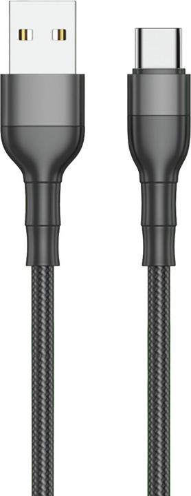 2GO 797304 Câble USB B USB C (1 m)