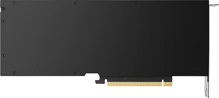 Actual product image PNY NVIDIA RTX 4500 Ada Generation (24 GB)