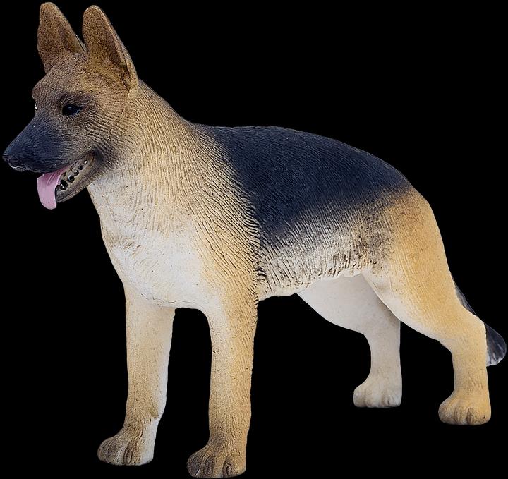 Immagine prodotto Mojo Cane da pastore tedesco
