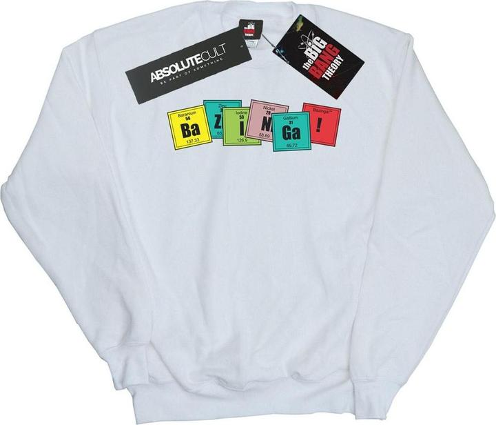 Actual product image Dam Womens/Ladies Bazinga Elements Sweatshirt (XL)
