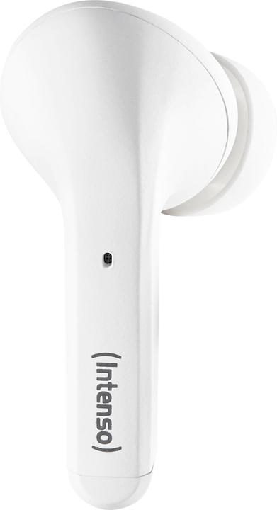Immagine prodotto Intenso Germogli bianchi T302A (ANC, 2 h, Cablato)