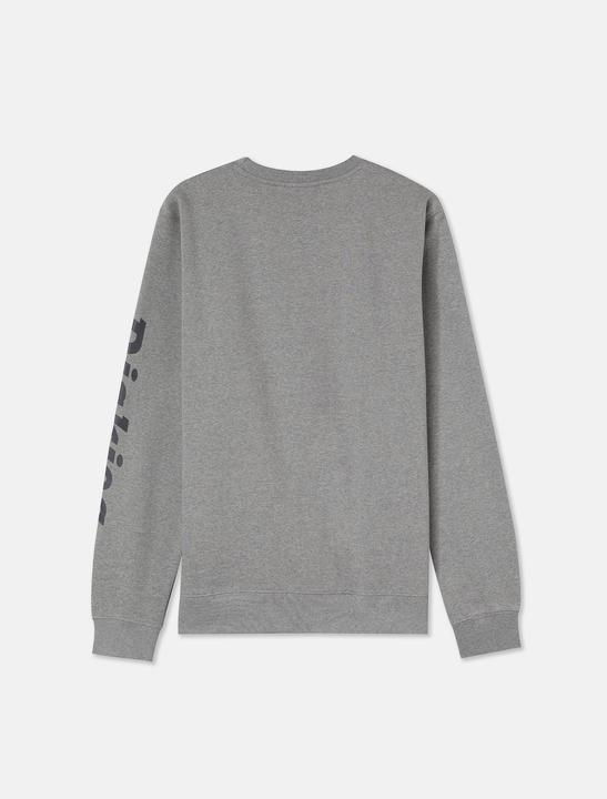 Immagine prodotto The Dickies Felpa grafica Okemo Grigio L (L)