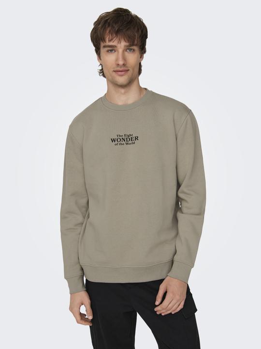 Image du produit Only & Sons ONSCELEBRITY REG CREW NECK SWT Sweat-shirt - 562138 (L)