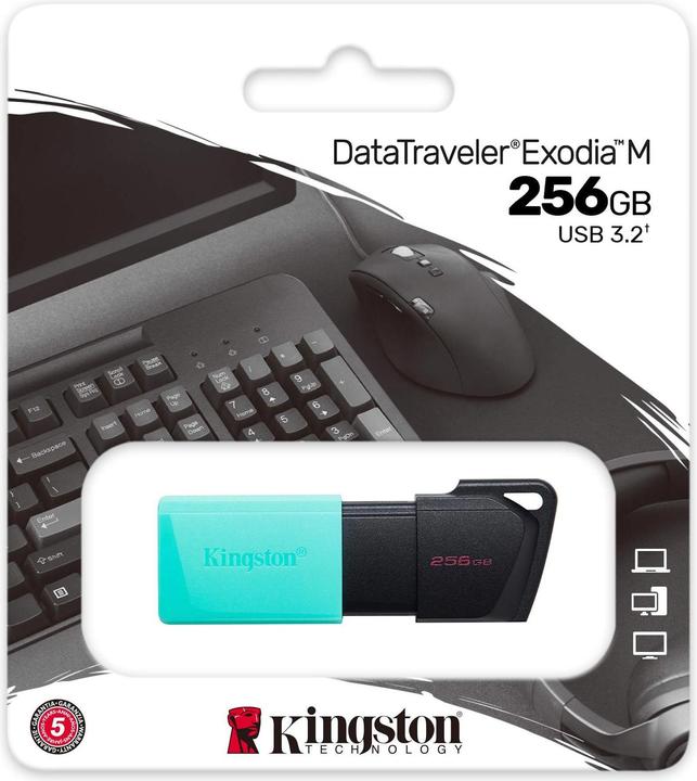 Actual product image Kingston DataTraveler Exodia M (256 GB, USB-A, USB 3.2)