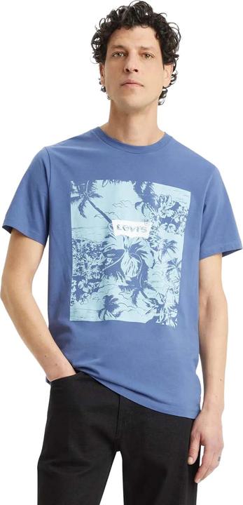 Actual product image Levis Mens Classic Graphic T-Shirt (S)