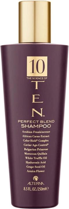 Actual product image Alterna TEN - Perfect Blend Shampoo (250 ml)