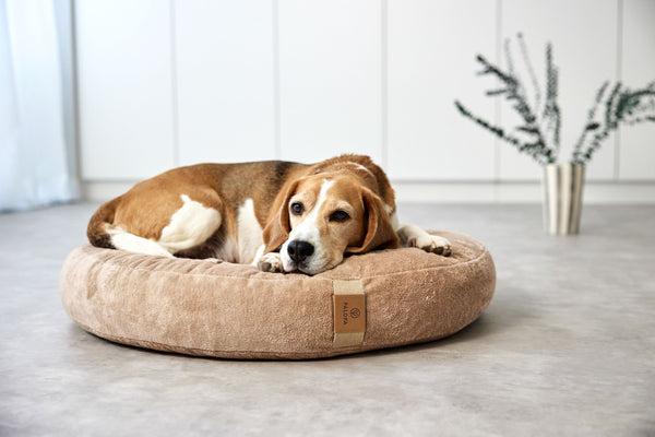 Produktbild Palopa Donut Fippa (Hund)