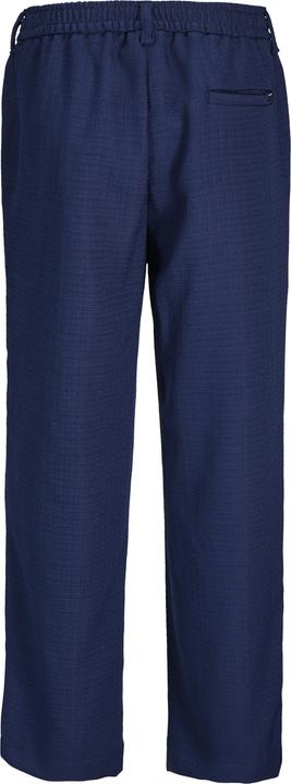 Produktbild Jack & Jones Jpstbill Jjalaska Jogger Styd Aw24 Ln (S)