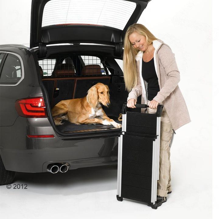 Actual product image Kleinmetall Dog Ramp DogWalk3 (Dog)