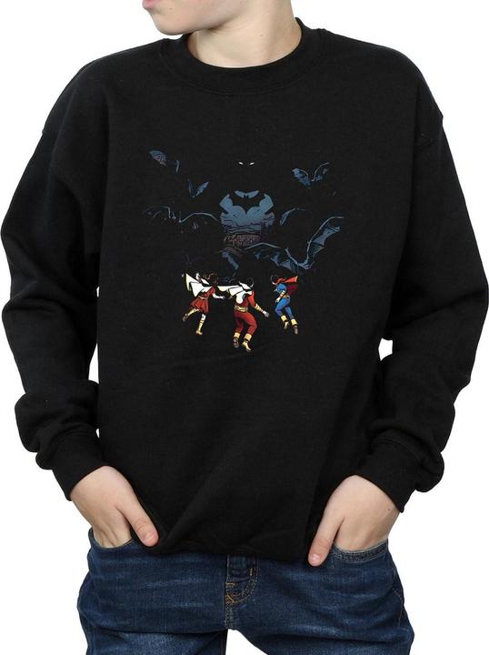 Immagine prodotto Batman Shadow Bats Felpa Ragazzi (140, 146)