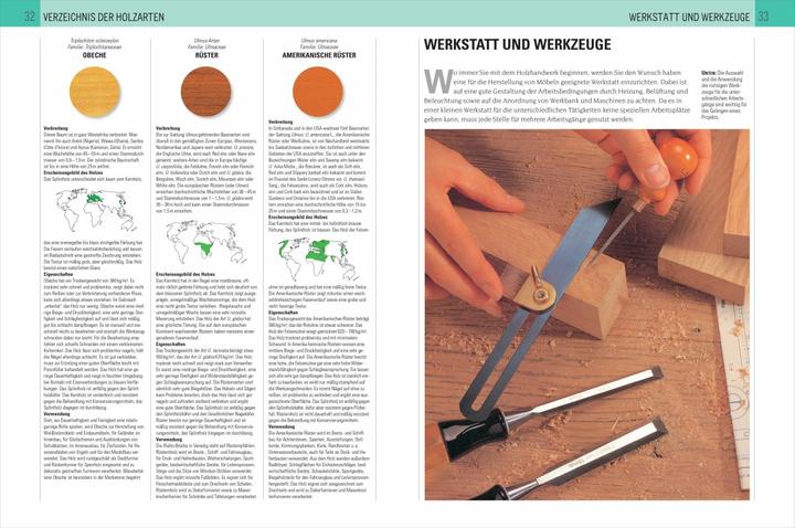 Immagine prodotto Handbuch Holz (Tedesco, Marchio Ramuz, 2016)