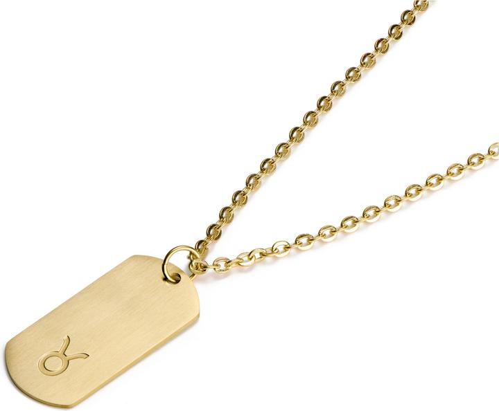 Image du produit Lucleon Zodiac (Acier inoxydable)