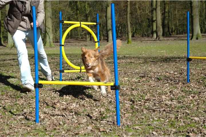 Produktbild Dobar Agility-Sprungset (Agility)