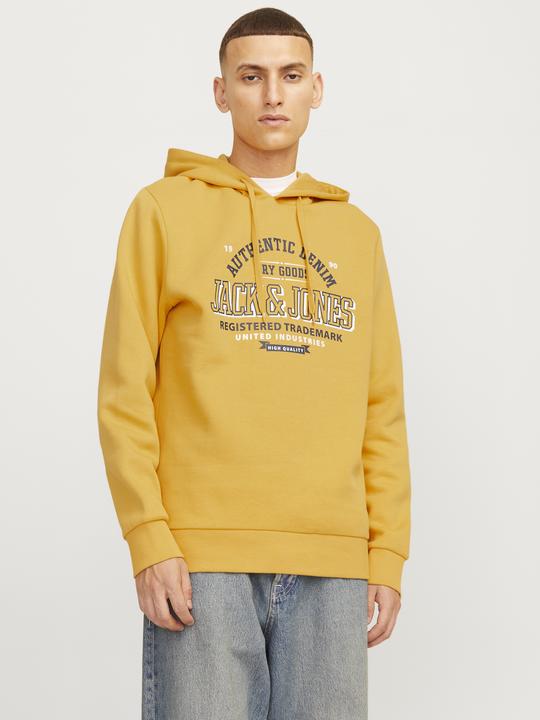 Immagine prodotto Jack & Jones JJELOGO SWEAT HOOD 2 COL 24/25 NOOS (XXL)