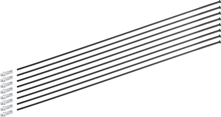 Immagine prodotto DT Swiss Kit di raggi per H 1700 Spline 27.5