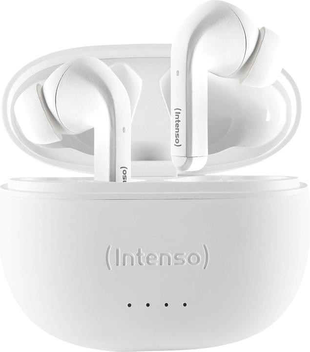 Immagine prodotto Intenso Germogli bianchi T302A (ANC, 2 h, Cablato)