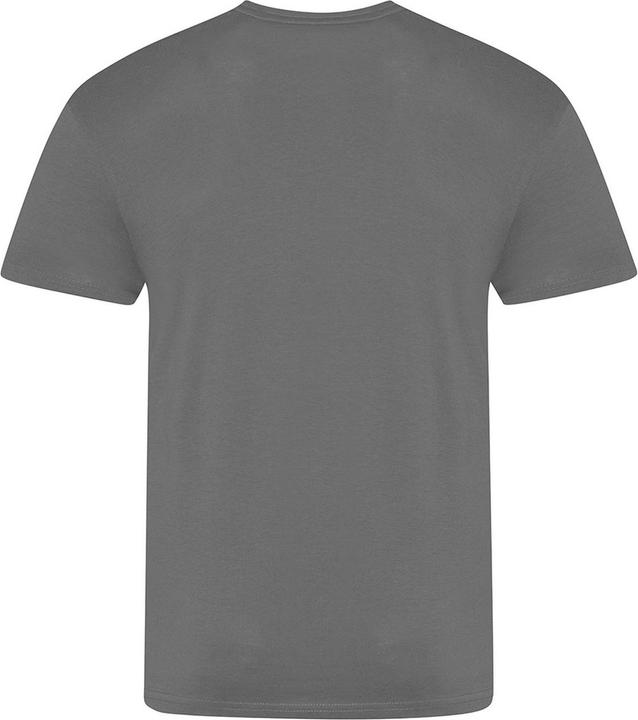 Image du produit Awdis The 100 TShirt (XL)