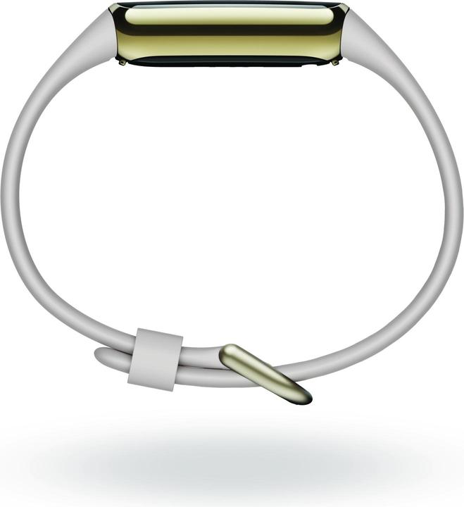 Productafbeelding Fitbit Luxe (17.50 mm)