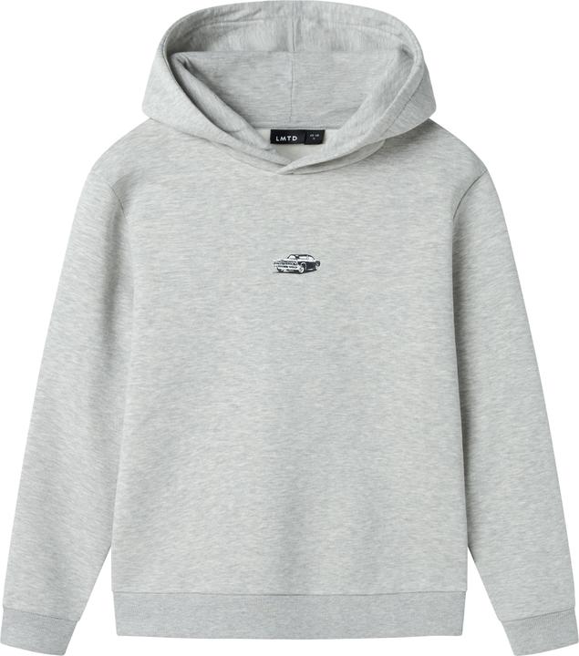 Lmtd Regular Fit Hoodie (146)