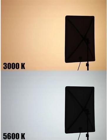 Actual product image Falcon Eyes Softbox + Honeycombs RX-18SBHC III for LED RX-18TDX III (Diffuser)