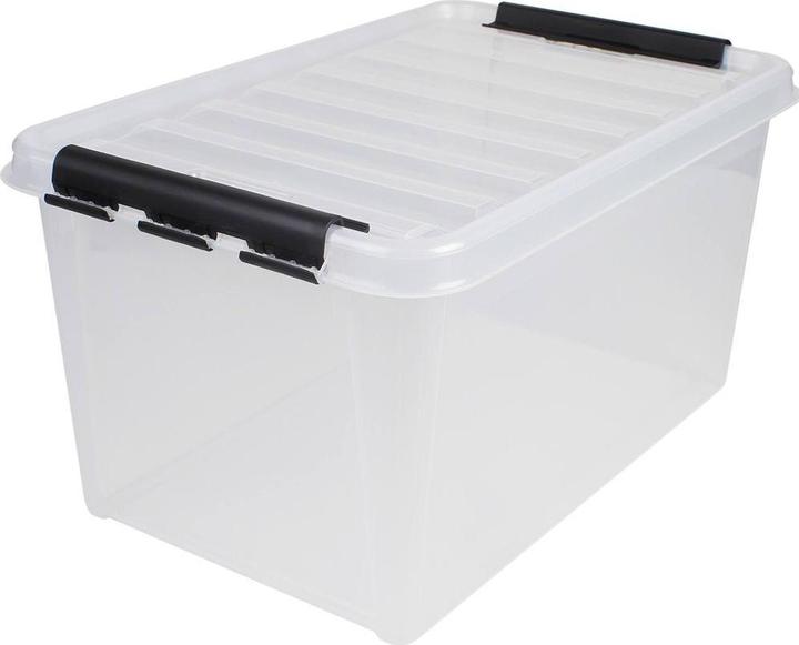 Ebnat Tragboxe mit Deckel (59 x 39 x 31 cm, 47 l)