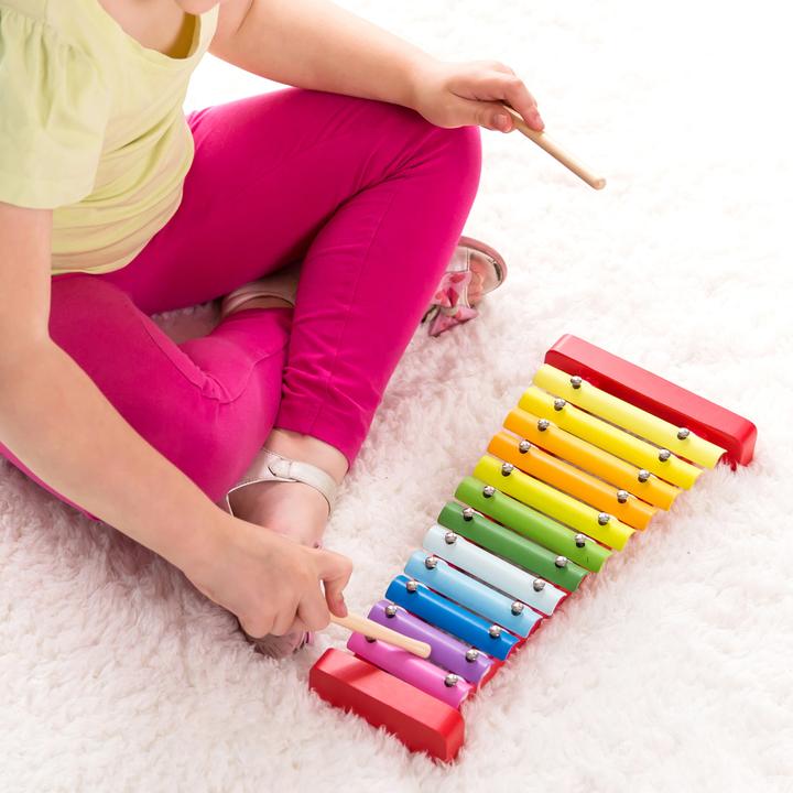 Actual product image Classic World Xylophone