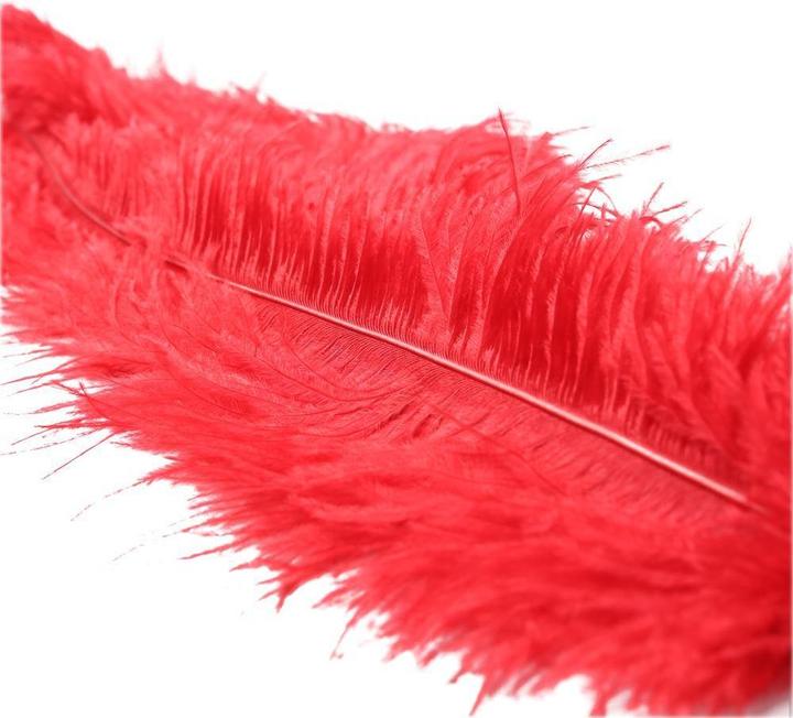 Actual product image Shots Ostrich