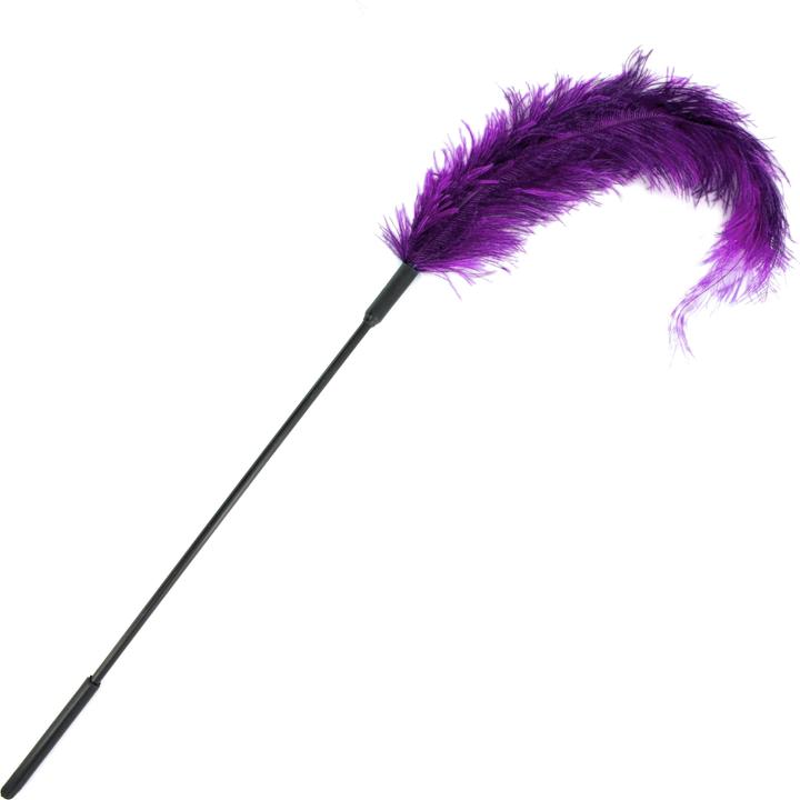 Ostrich