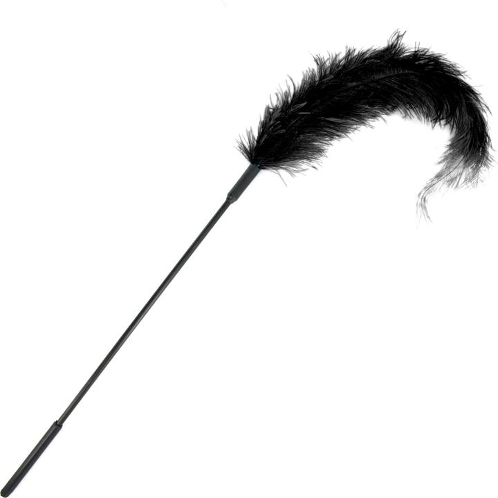 Ostrich