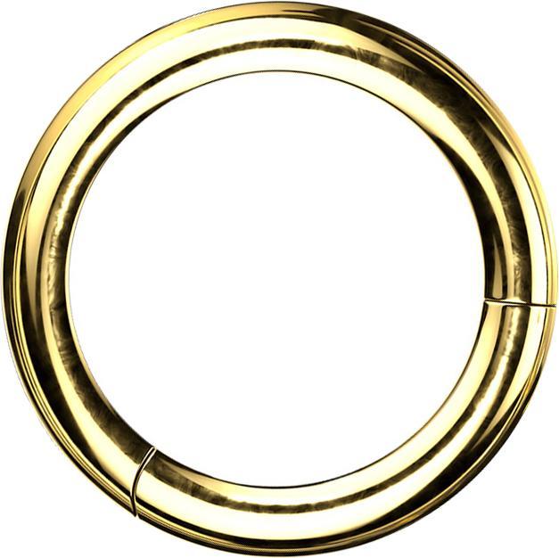 Star Piercing Segmentring klappbar vergoldet (Titan G23)