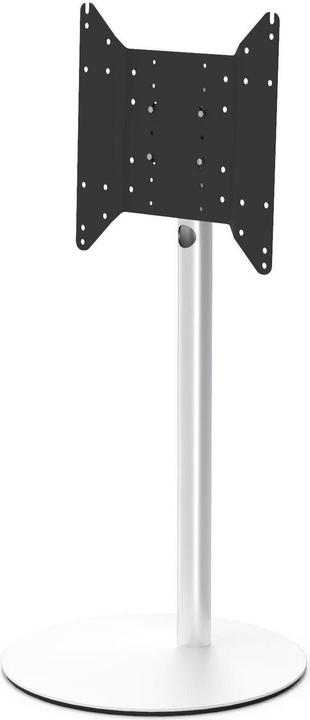 Spectral Circle VX1000 (Various, 75", 40 kg)