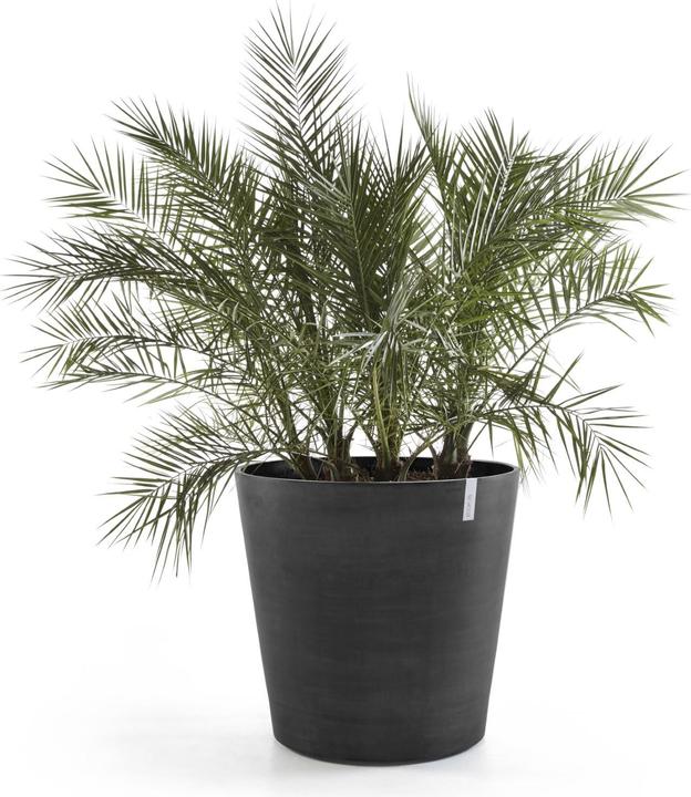 Produktbild Ecopots Amsterdam Wheels (60 cm)