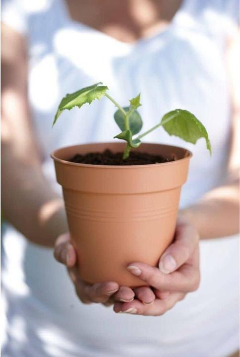 Actual product image Elho Green Basic (30 cm)