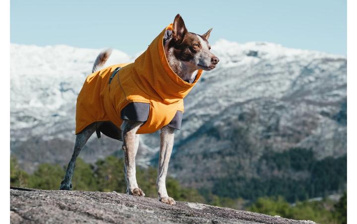 Actual product image Hurtta Expedition (40, Dog coat)