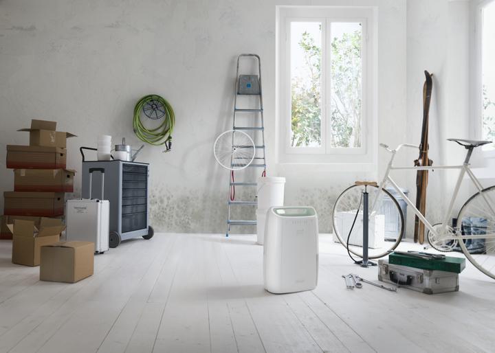 Produktbild De'Longhi DEX212SF (55 m², 12 l/24h)
