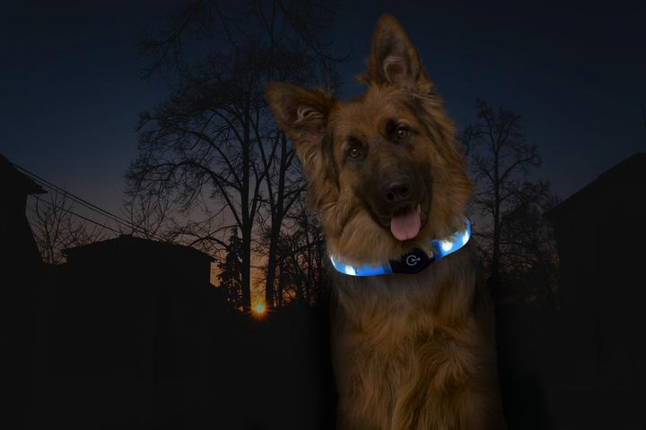 Produktbild Karlie Visio (Hund, Spazieren)