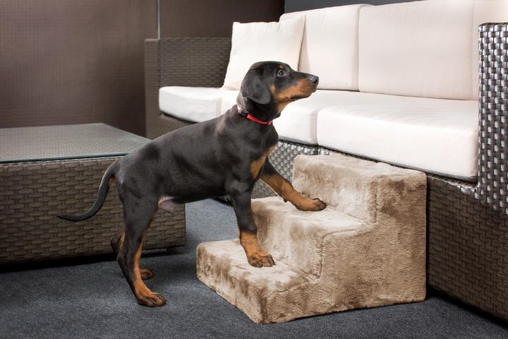 Produktbild Karlie Easy Step (Hund)