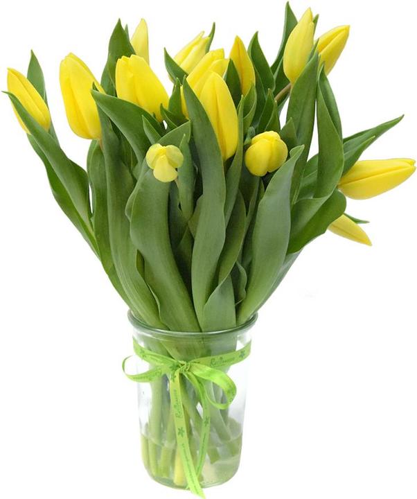 Produktbild Rutishauser Blumen Tulpen (Schnittblumen)