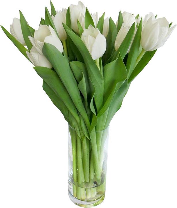 Produktbild Rutishauser Blumen Tulpen (Schnittblumen)