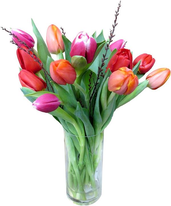 Actual product image Rutishauser Blumen Tulips mix (Cut flowers)