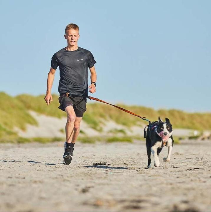 Produktbild Non-Stop Dogwear Bungee (M, Hund, Jogging)