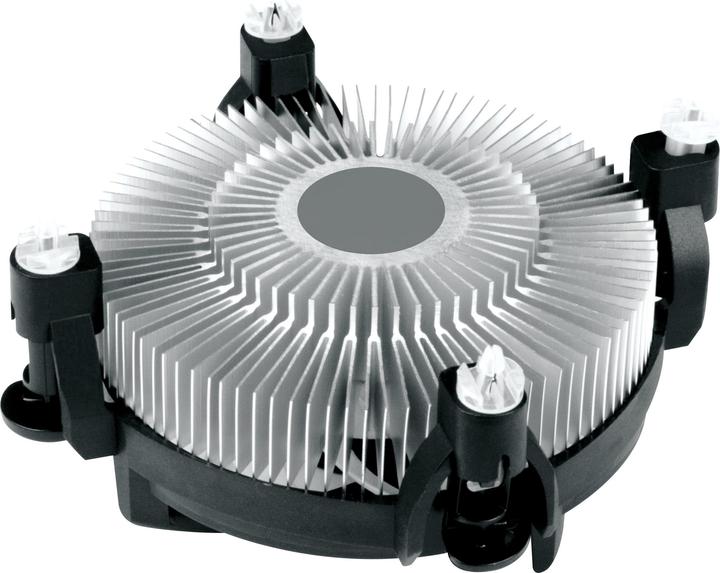 Actual product image Arctic Alpine 17 LP (55 mm)