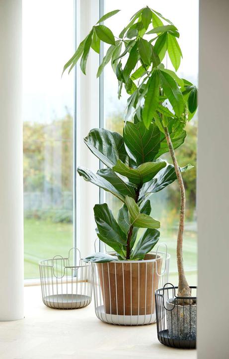 Actual product image Zone Denmark Inu (1 x, 42 x 42 x 42 cm)